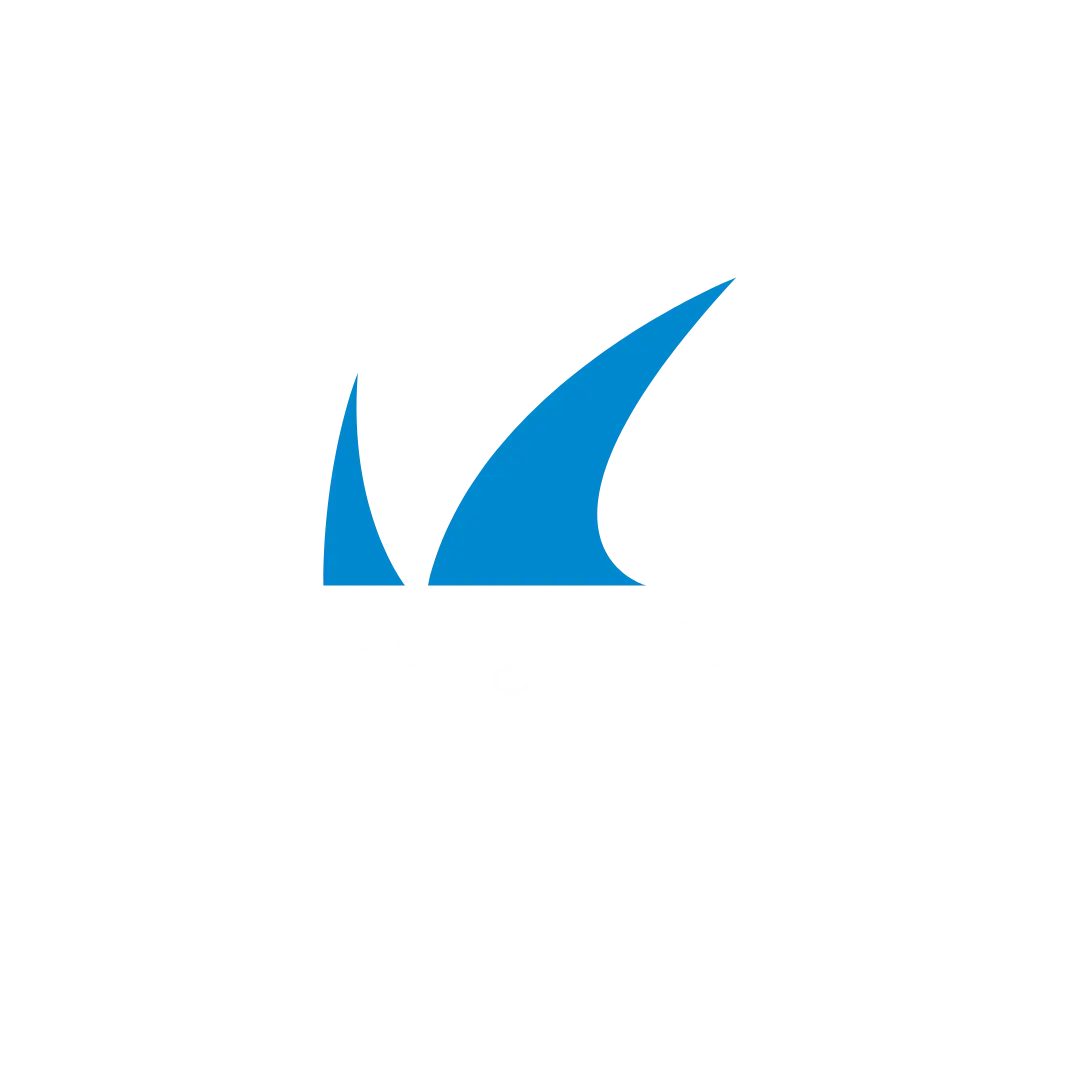 barracuda