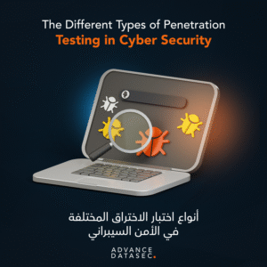 Types of Penetration Testing